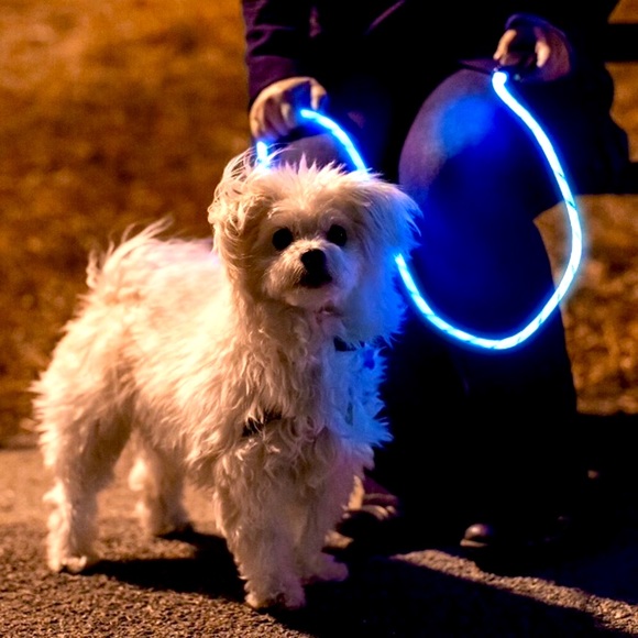 NWT GLOW IN DARK LITEY LEASH • BLUE 5ft Dog Pets - Picture 3 of 9
